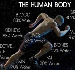 Strange Facts about Human