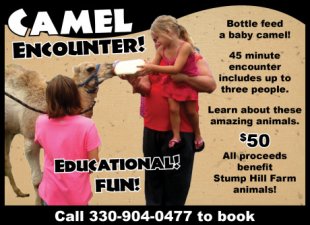 camel encounter 50