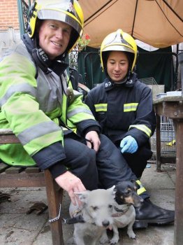 Hampshire Fire and Rescue of watch manager Jason Brattle and firefighter Jo Chia with two dogs that were resuscitated