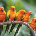 Midwest exotic Animal Hospital