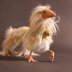 Strange and Unusual animals