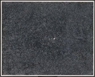 Shagreen_Field_blackwithboneframe_8x10