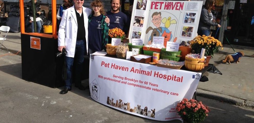 Exotic animals for Adoption