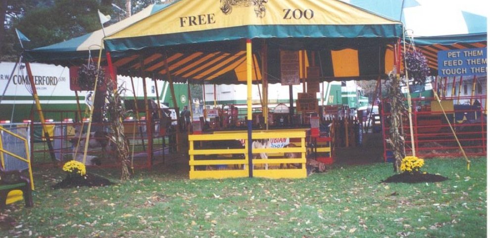 Exotic domestic animals