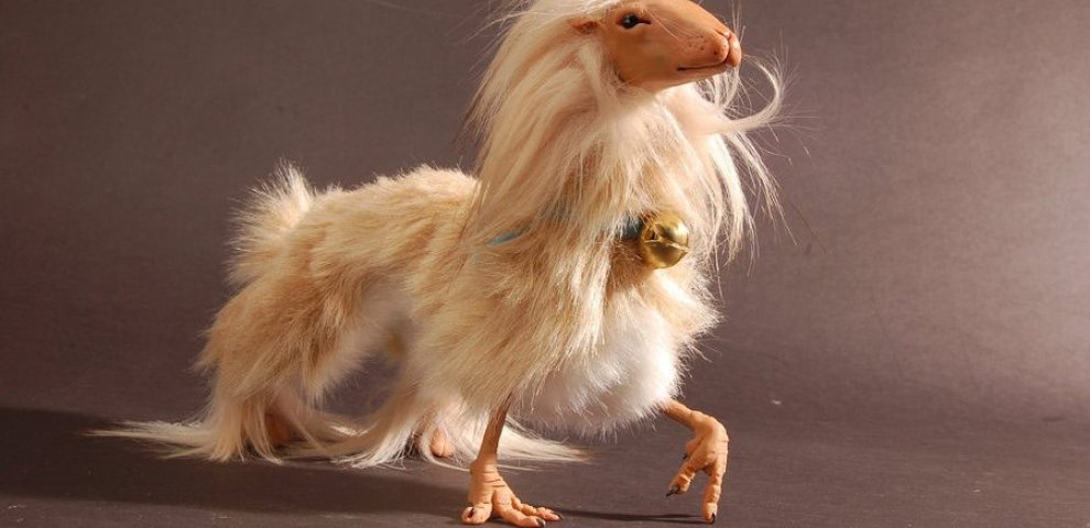 Strange and Unusual animals