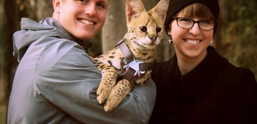 Work with exotic animals