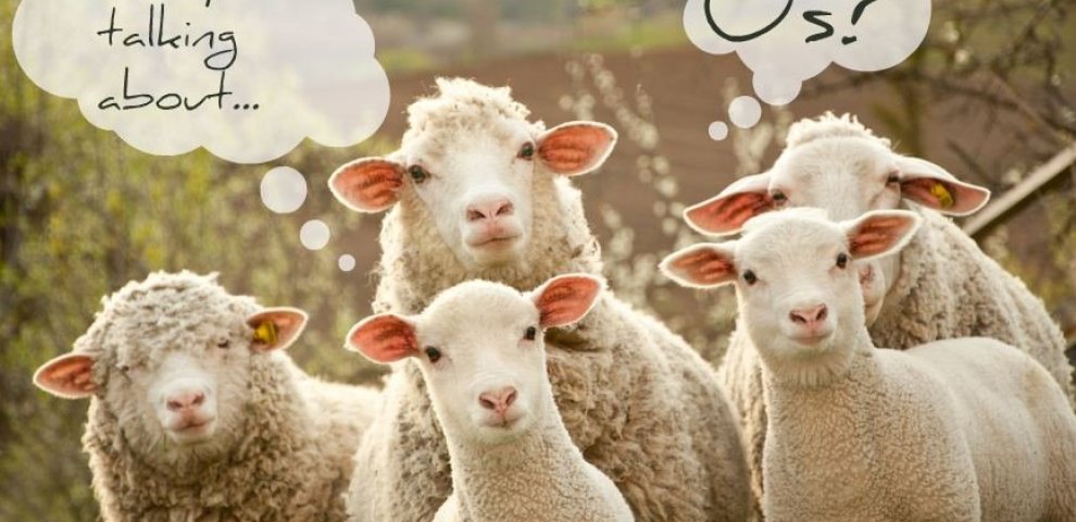 Working with exotic animals