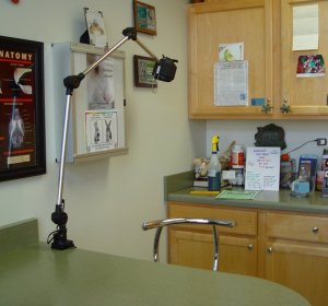 Chicago Exotics Animal Hospital