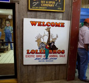 Exotic animals auction Missouri