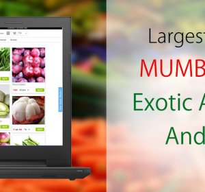 Exotic foods Online