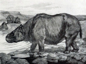 toxodon