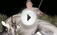 Exotic Animal Hunts Texas