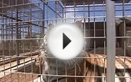 Pet World Insider TV Forever Wild Exotic Animal Sanctuary