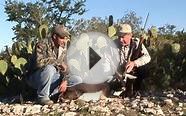 Texas Exotic Hunt