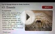 Top Ten Strange Words For Bodily Functions 2013 Video